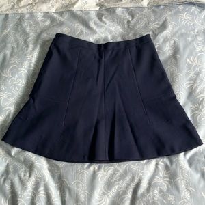 JCrew skater skirt